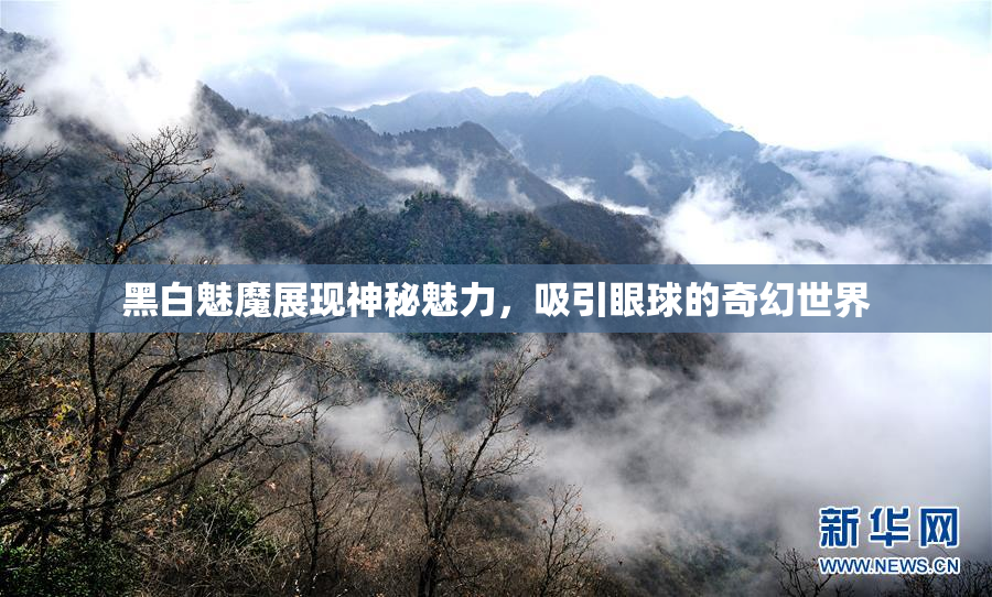 黑白魅魔展现神秘魅力，吸引眼球的奇幻世界