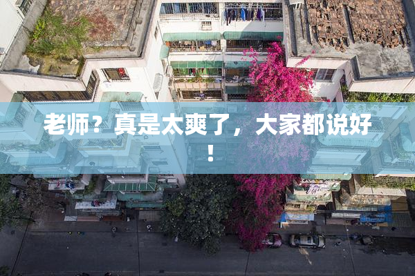 老师？真是太爽了，大家都说好！
