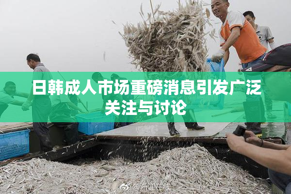日韩成人市场重磅消息引发广泛关注与讨论