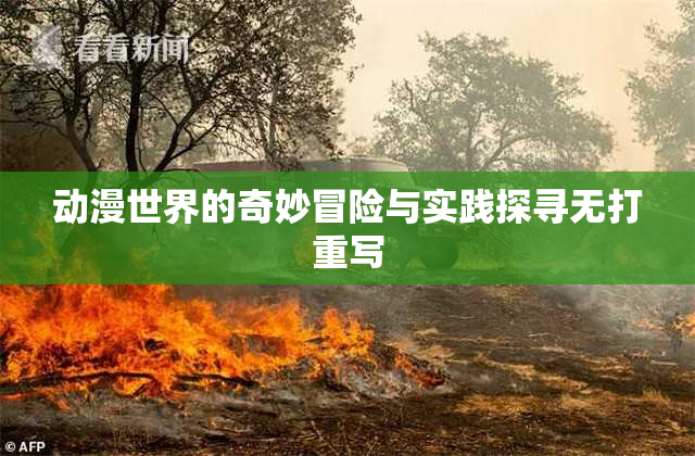 动漫世界的奇妙冒险与实践探寻无打重写