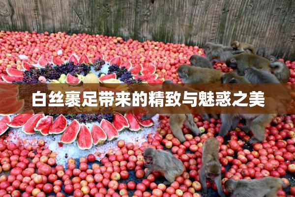 白丝裹足带来的精致与魅惑之美