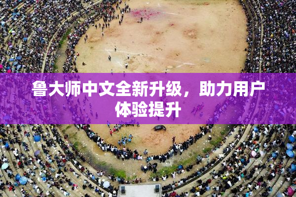 鲁大师中文全新升级，助力用户体验提升