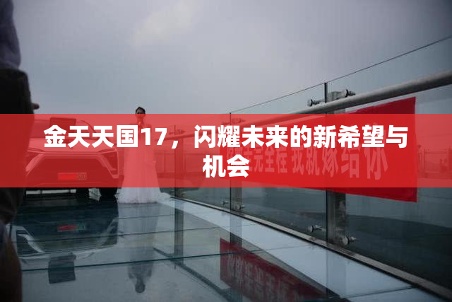 金天天国17，闪耀未来的新希望与机会