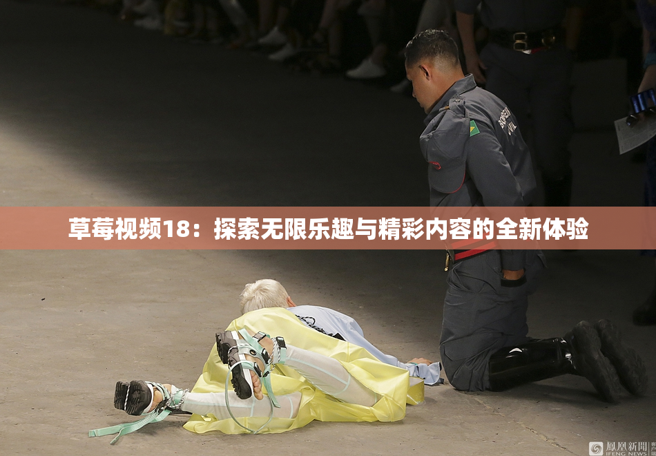 草莓视频18：探索无限乐趣与精彩内容的全新体验