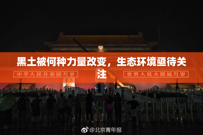 黑土被何种力量改变，生态环境亟待关注