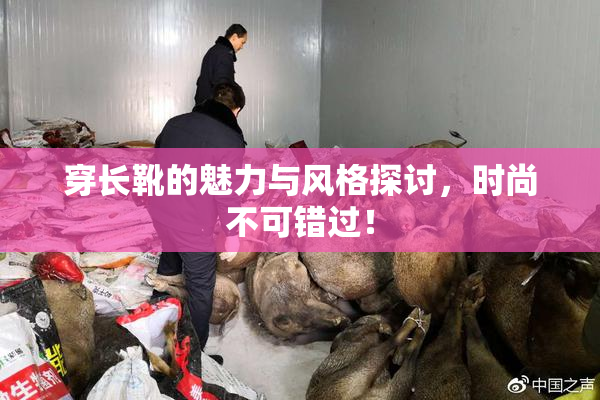 穿长靴的魅力与风格探讨，时尚不可错过！