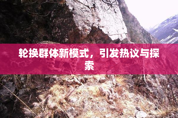 轮换群体新模式，引发热议与探索