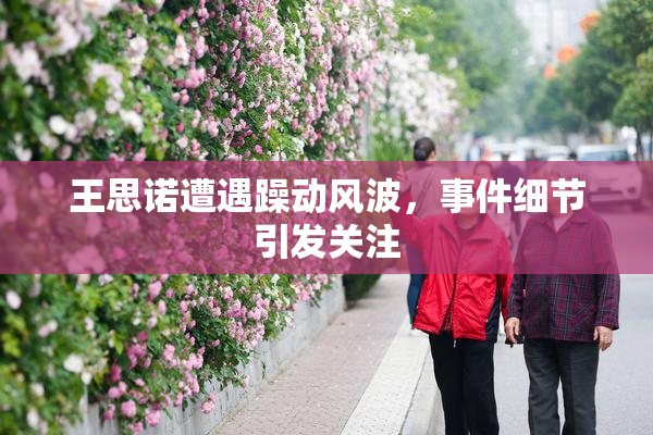 王思诺遭遇躁动风波，事件细节引发关注