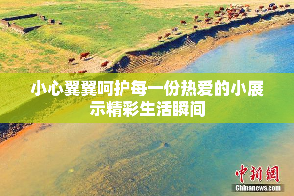小心翼翼呵护每一份热爱的小展示精彩生活瞬间