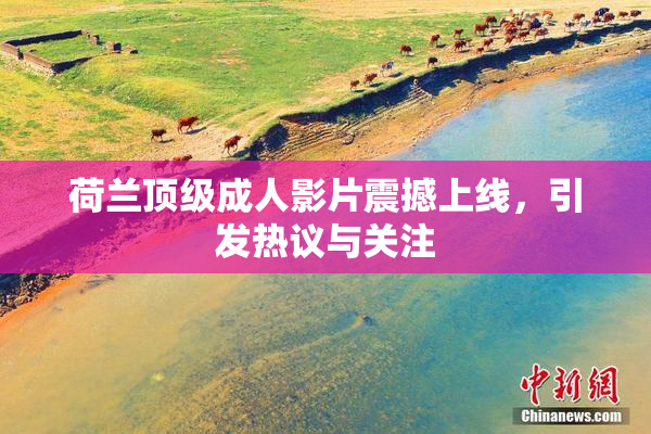 荷兰顶级成人影片震撼上线，引发热议与关注