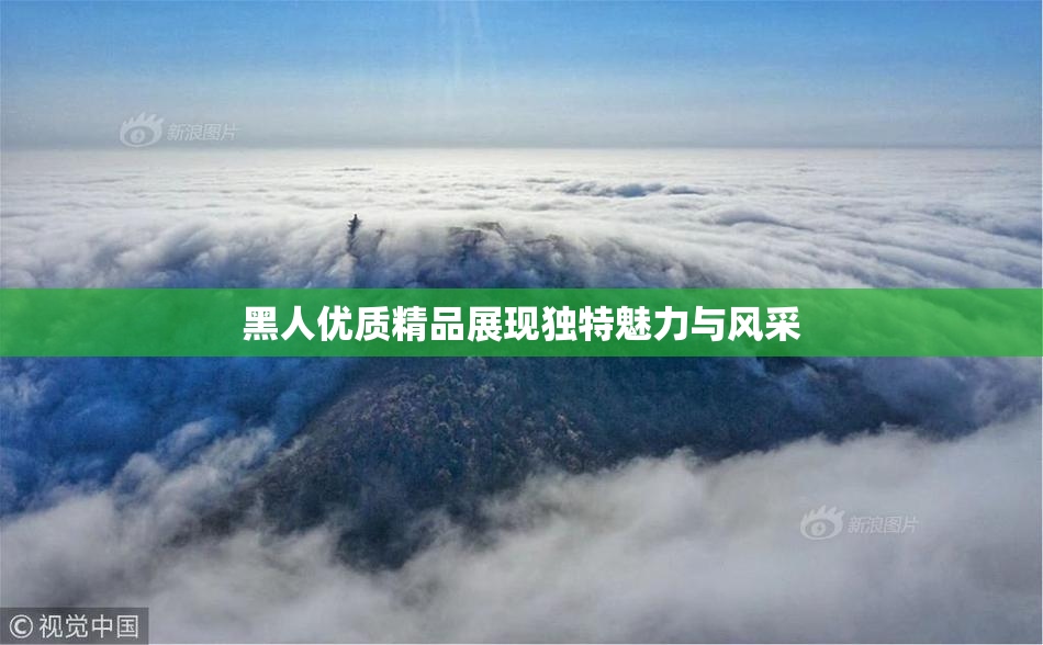 黑人优质精品展现独特魅力与风采