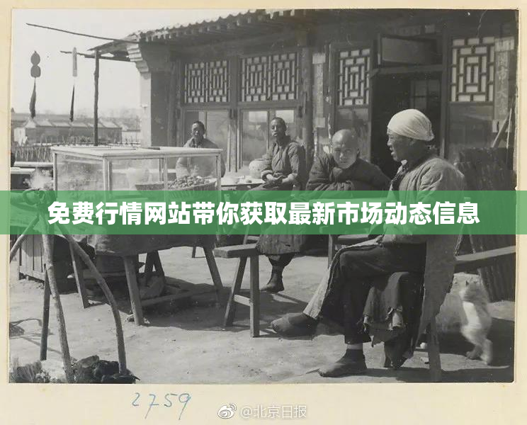 免费行情网站带你获取最新市场动态信息