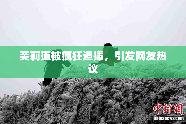 芙莉莲被疯狂追捧，引发网友热议
