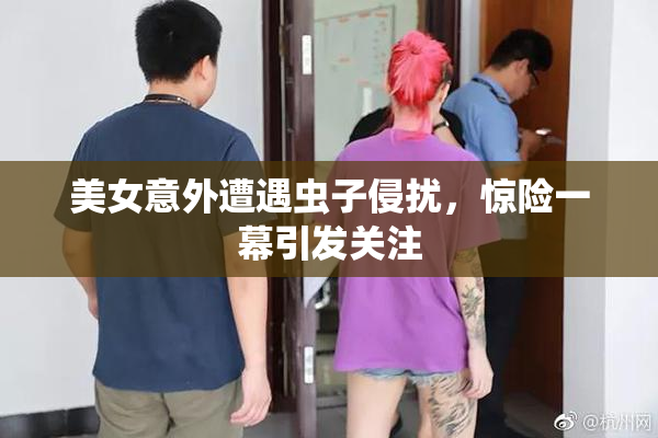 美女意外遭遇虫子侵扰，惊险一幕引发关注