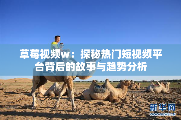 草莓视频w：探秘热门短视频平台背后的故事与趋势分析