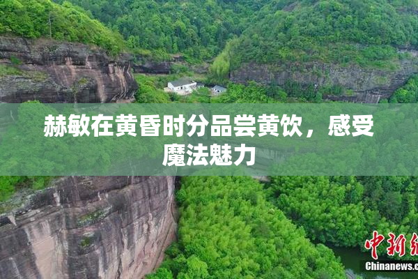 赫敏在黄昏时分品尝黄饮，感受魔法魅力
