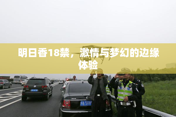 明日香18禁，激情与梦幻的边缘体验