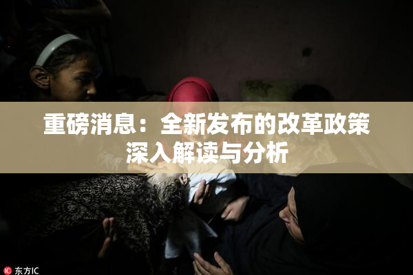 重磅消息：全新发布的改革政策深入解读与分析