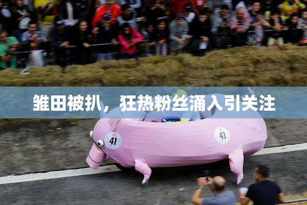 雏田被扒，狂热粉丝涌入引关注
