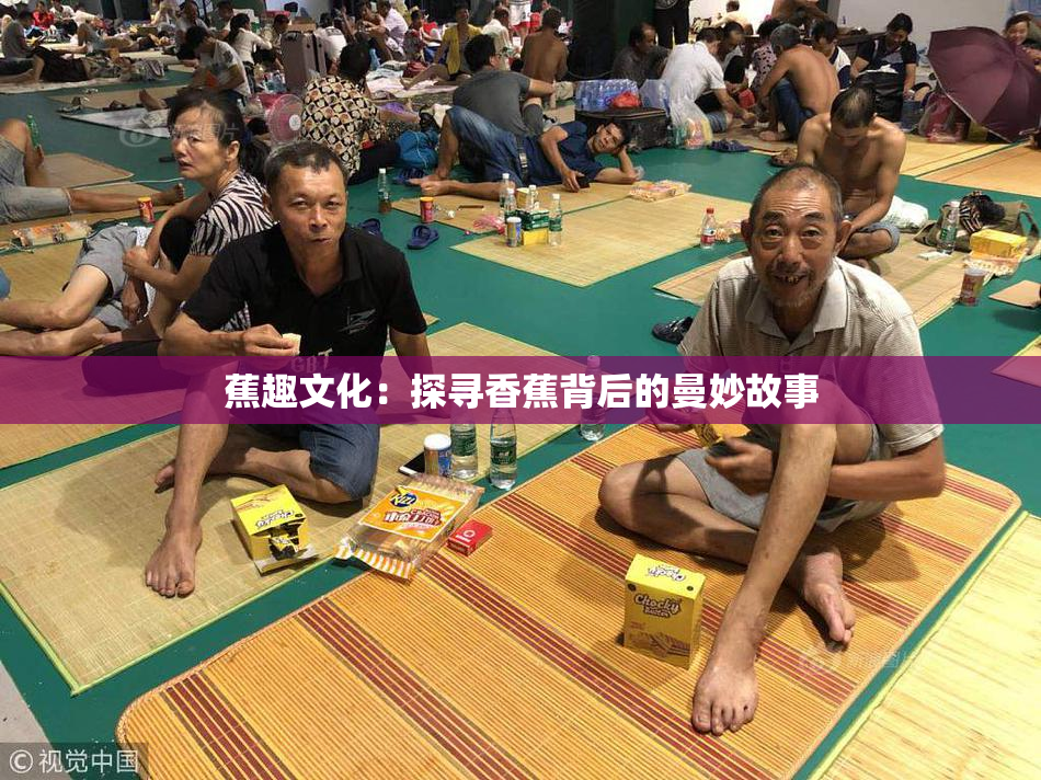 蕉趣文化：探寻香蕉背后的曼妙故事
