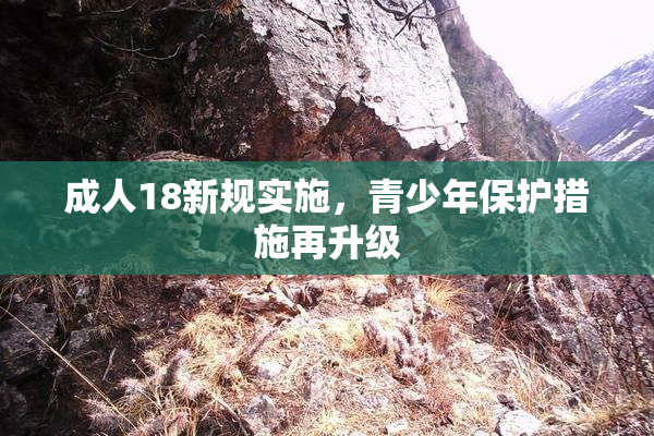 成人18新规实施，青少年保护措施再升级
