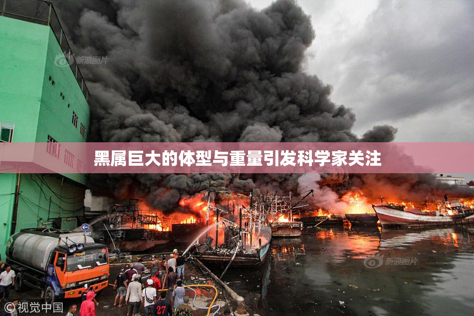 黑属巨大的体型与重量引发科学家关注