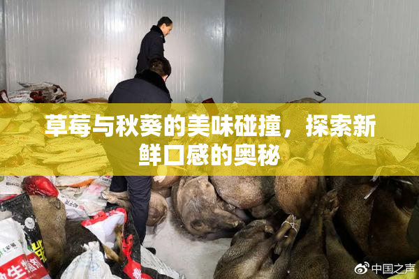 草莓与秋葵的美味碰撞，探索新鲜口感的奥秘
