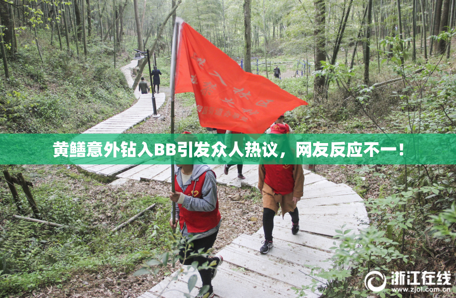 黄鳝意外钻入BB引发众人热议，网友反应不一！
