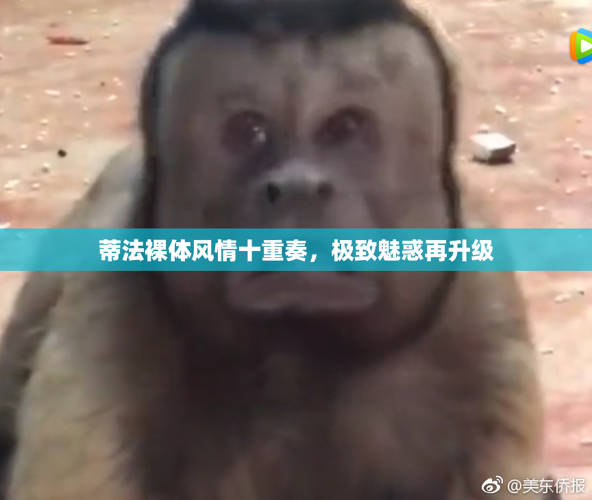 蒂法裸体风情十重奏，极致魅惑再升级