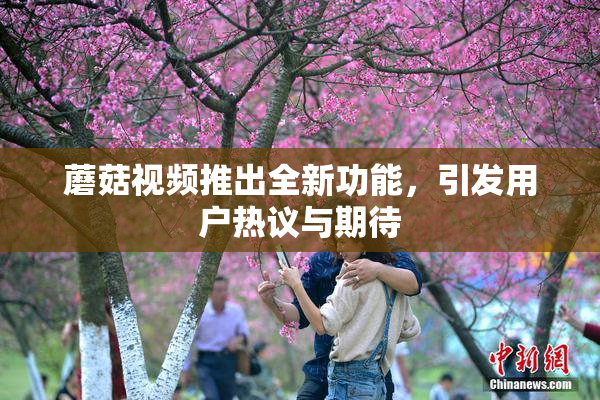 蘑菇视频推出全新功能，引发用户热议与期待