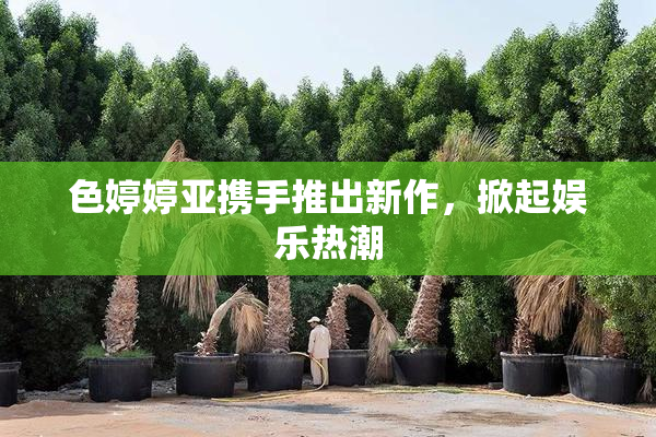 色婷婷亚携手推出新作，掀起娱乐热潮