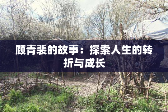 顾青裴的故事：探索人生的转折与成长