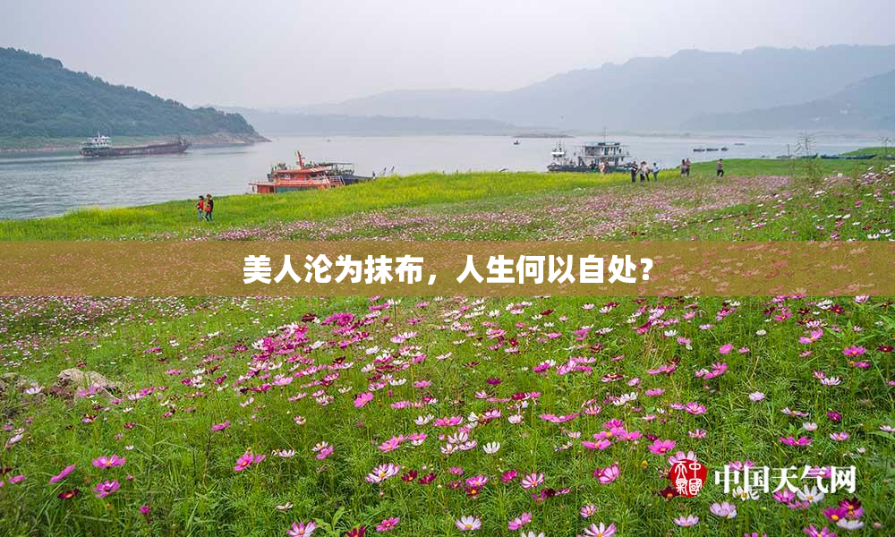 美人沦为抹布，人生何以自处？