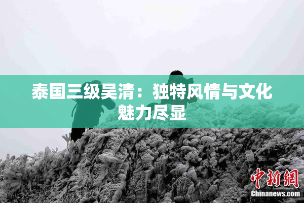 泰国三级吴清：独特风情与文化魅力尽显