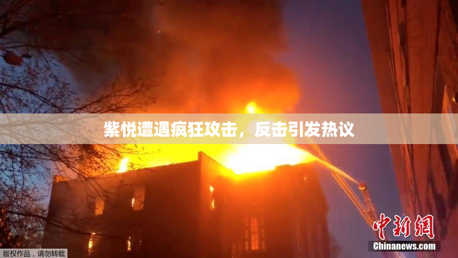 紫悦遭遇疯狂攻击，反击引发热议