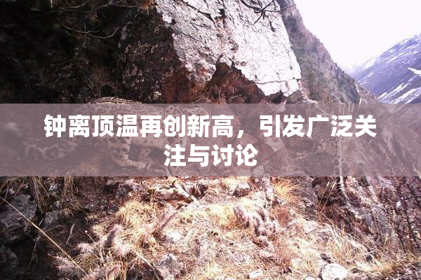钟离顶温再创新高，引发广泛关注与讨论