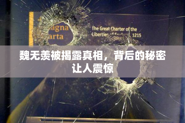 魏无羡被揭露真相，背后的秘密让人震惊