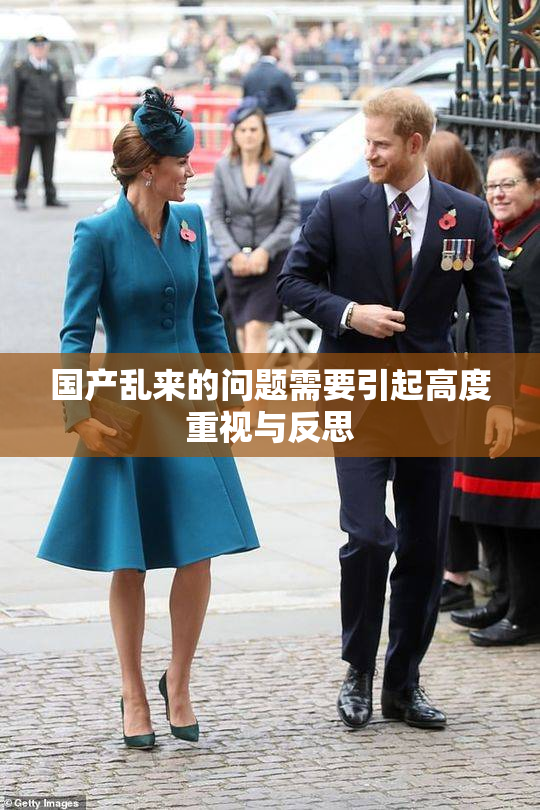 国产乱来的问题需要引起高度重视与反思