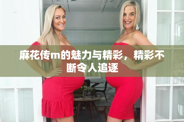 麻花传m的魅力与精彩，精彩不断令人追逐