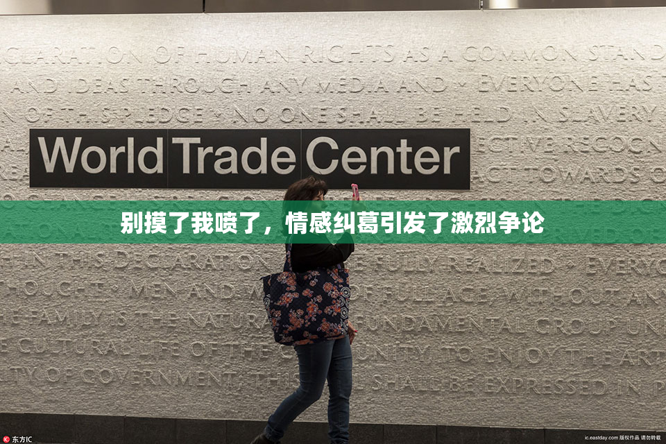 别摸了我喷了，情感纠葛引发了激烈争论