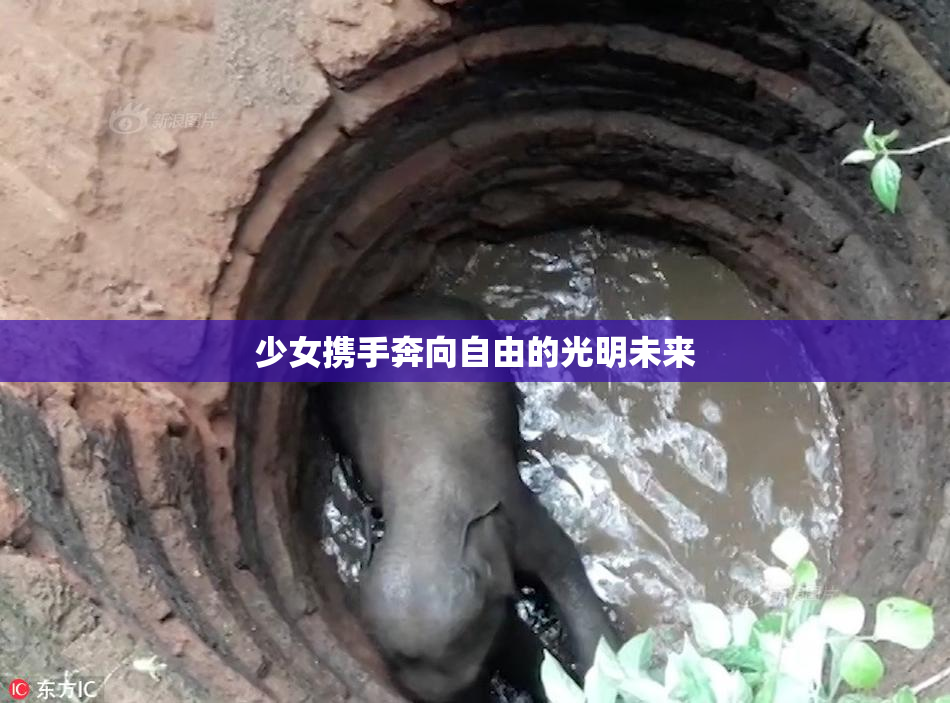 少女携手奔向自由的光明未来