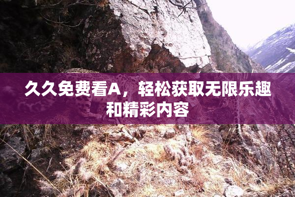 久久免费看A，轻松获取无限乐趣和精彩内容