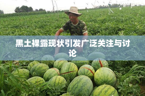 黑土裸露现状引发广泛关注与讨论