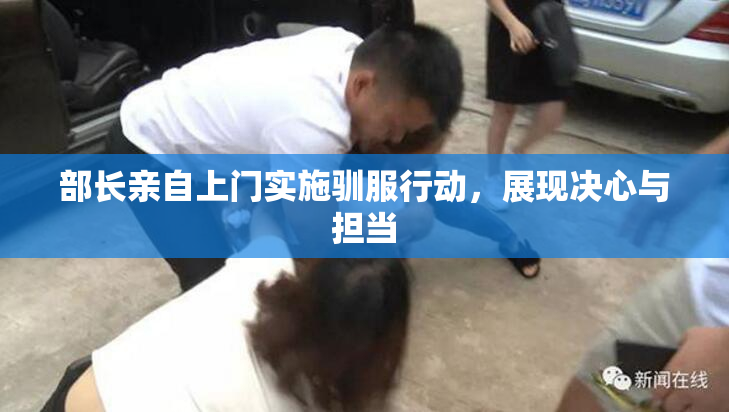 部长亲自上门实施驯服行动，展现决心与担当