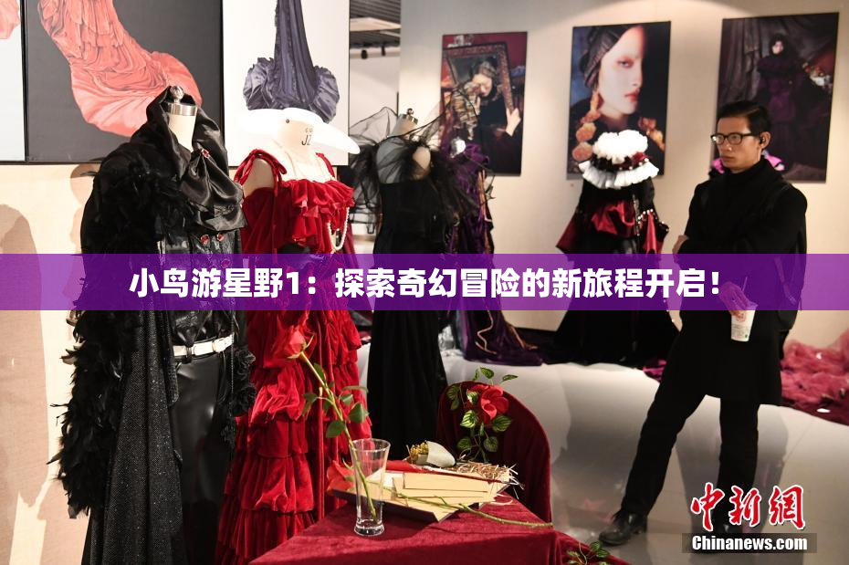 小鸟游星野1：探索奇幻冒险的新旅程开启！
