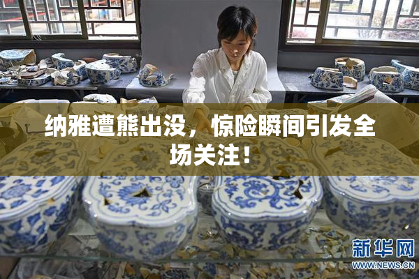 纳雅遭熊出没，惊险瞬间引发全场关注！