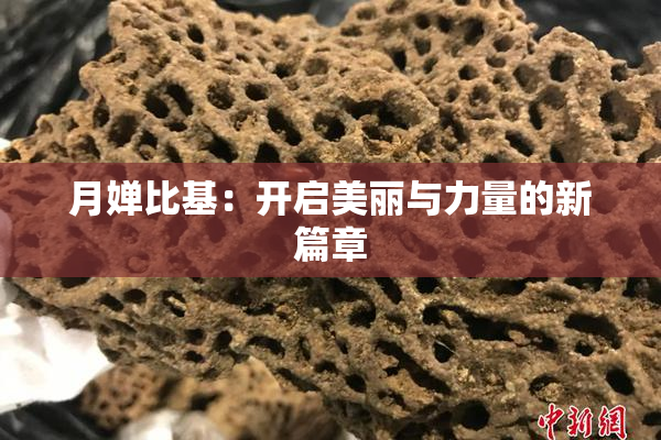 月婵比基：开启美丽与力量的新篇章