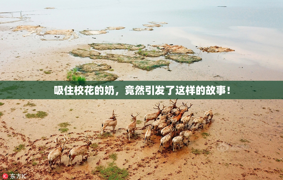 吸住校花的奶，竟然引发了这样的故事！