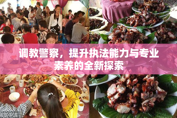 调教警察，提升执法能力与专业素养的全新探索