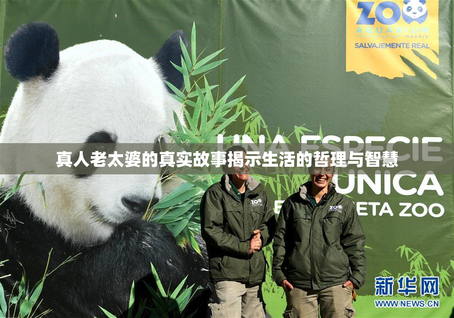 真人老太婆的真实故事揭示生活的哲理与智慧